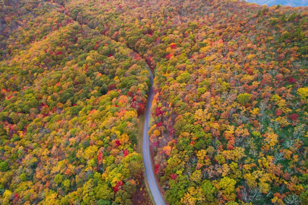 best scenic roads america