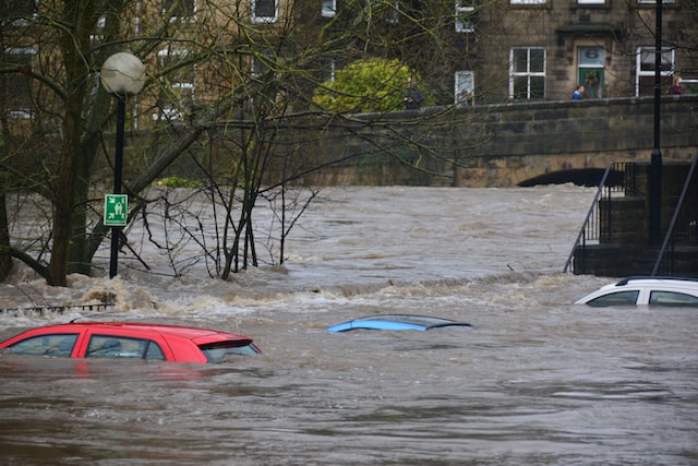 Should I buy a flood-damaged car