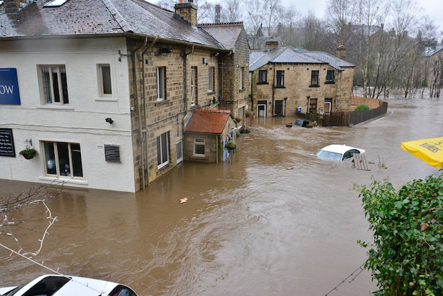 Should I buy a flood-damaged car