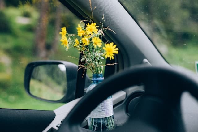 car ornaments