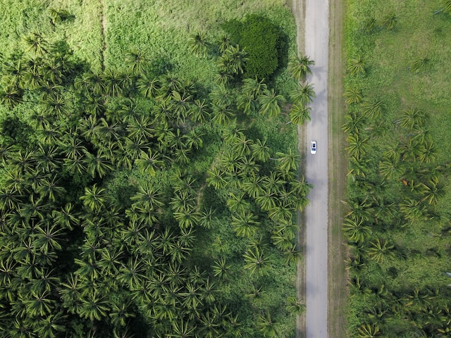 oahu scenic drives