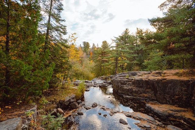 Chester Park, Duluth