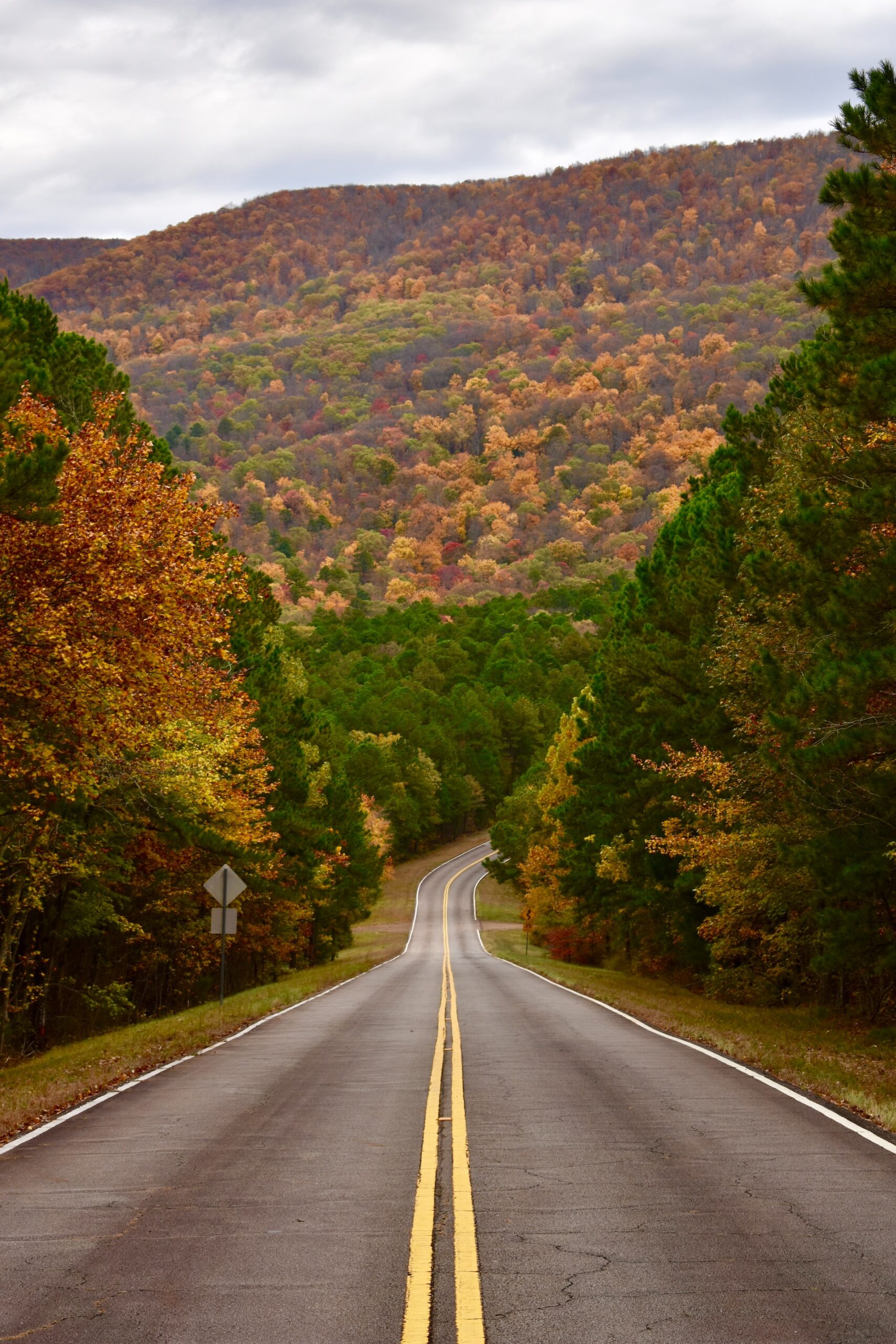 Experience the Beauty of the Talimena Scenic Drive