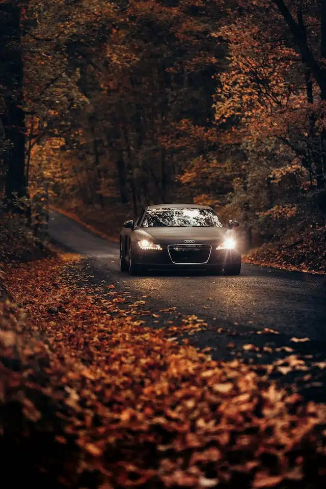A modern sports car with advanced headlights driving through the countryside at twilight, its powerful beams cutting through the dimming light to ensure enhanced safety.